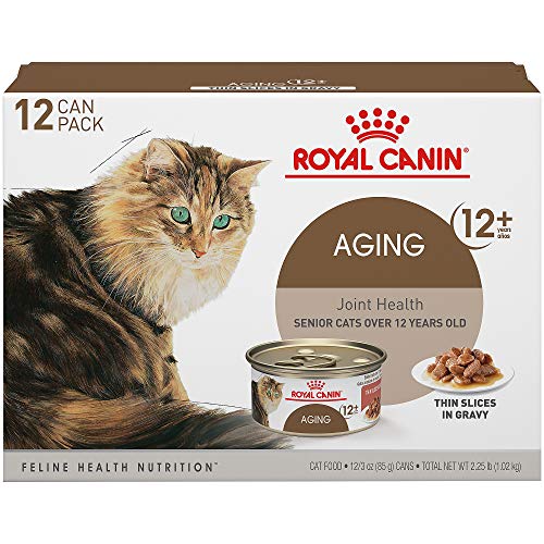 Top 10 Best Appetite Stimulant For Cats in 2024 Reviews by Experts
