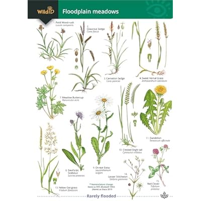 Guide to Floodplain Meadows