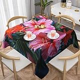 Photo Gallery sdtykhj tovaglia quadrata con fiori tropicali, impermeabile, resistente, 152,4 x 152,4 cm, lavabile, tovaglia autunnale in tessuto decorativo per feste di nozze e banchetti Photo Gallery sdtykhj tovaglia quadrata con fiori tropicali, impermeabile, resistente, 152,4 x 152,4 cm, lavabile, tovaglia autunnale in tessuto decorativo per feste di nozze e banchetti