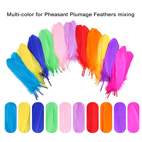 Feelfunfeather 120Pcs Mix Colur Goose Feathers Natural Bulk 6-8 Inch 15-20Cm For Crafts Diy Cosplay Wedding Party Halloween Decoration Goose Nagoire Feathers #TOP2