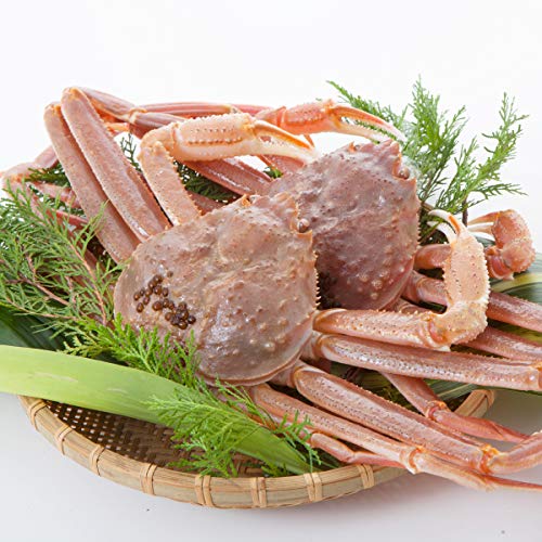 {Cs 󂠂㏼tKjiYCKjj pTCYi21.2kgOj1x