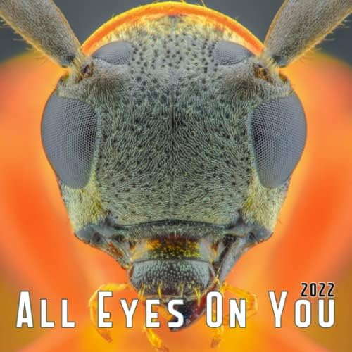 Amazon.com: All Eyes On You 2022 Calendar: Insect Eyes Gift Idea / White Elephant / Secret Santa / Stocking Stuffer / Birthday Present 2022-2023 Monthly / Month ... Bug Lovers | Kalendar Calendario Calendrie: 9798789188521: Blake., Kaci: Books