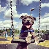 EzyDog Quick Fit Hundegeschirr, Größe M, Tarnfarbenmuster