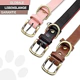 Furry Friends Hundehalsband Leder mit Leine, Gepolstert lederhalsband und Leine Set, Robust, Hundehalsband für den mittleren und kleinen Hund(M- 35-45cm, Braun)