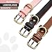 Furry Friends Hundehalsband Leder mit Leine, Gepolstert lederhalsband und Leine Set, Robust, Hundehalsband für den mittleren und kleinen Hund(M- 35-45cm, Braun)