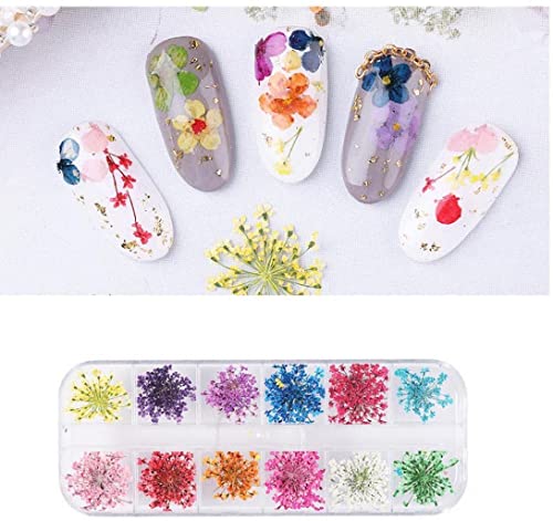 Conjunto de decoração de unhas de flor seca, 24 peças, flor seca, Gypsophila, para arte de unhas, fl