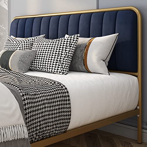 Hithos Queen Size Bed Frame, Upholstered Bed Frame With Button Tufted Headboard, Heavy Duty Metal Mattress Foundation With Wooden Slats, Easy Assembly, No Box Spring Needed (Golden/Blue, Queen) #TOP4