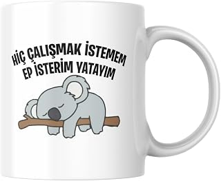 Hiç Çalışmak İstemem Ep İsterim Yatayım Komik Yazı