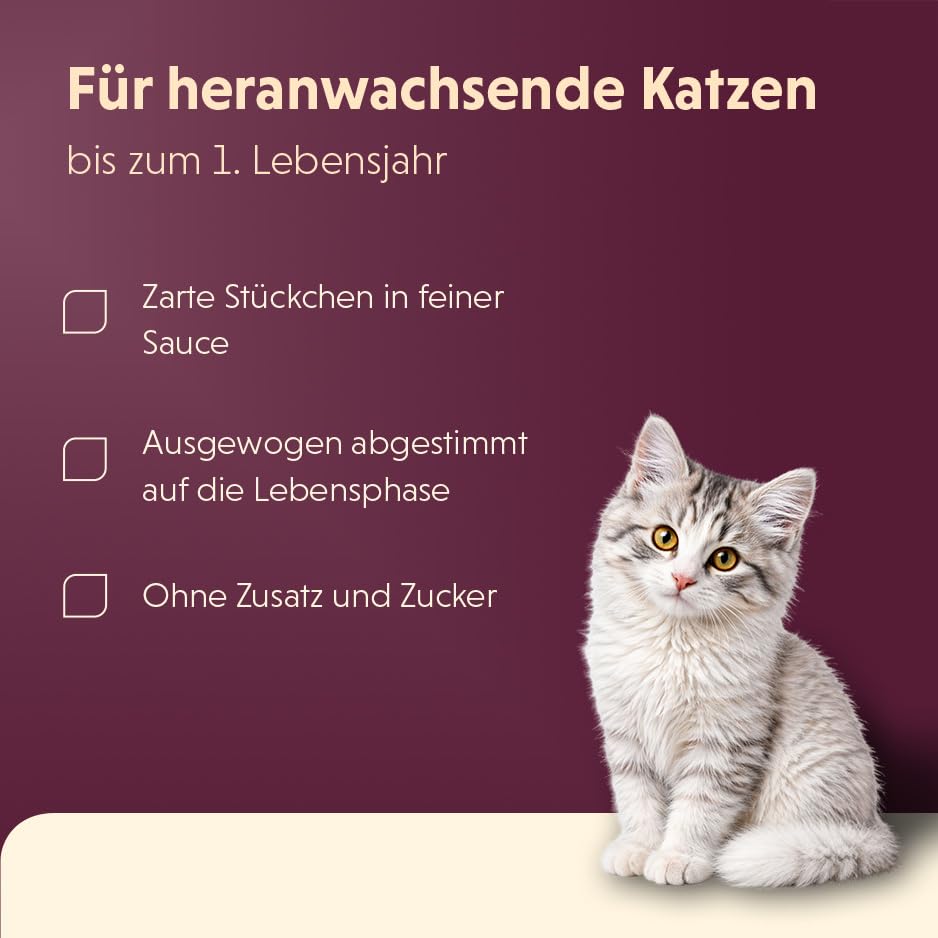 animonda vom Feinsten Kitten Katzenfutter nass in Sauce Mixpack (8 x 85g)