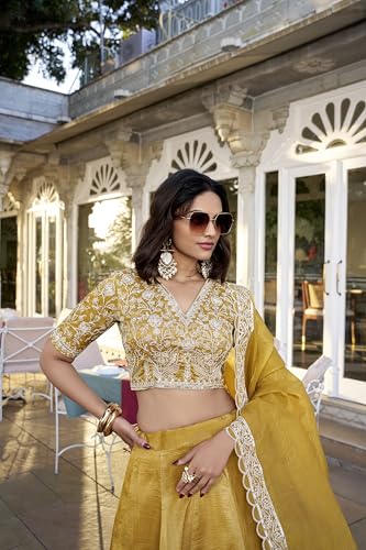 Image of LooknBook Art Womens Women Lehenga Choli