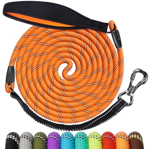 LupinePet Originals Leine - 2,5 Cm Breit, 185 Cm Lang, Mit Gepolstertem Griff, Für Größere Hunde