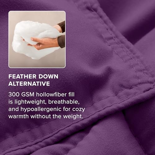 Image of Bare Home Comforter Set - Queen Size - Ultra-Soft - Goose Down Alternative - Premium 1800 Series - All Season Warmth (Queen, Plum)