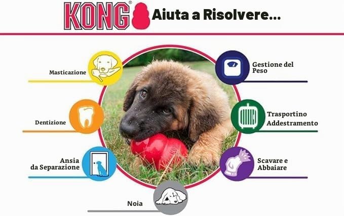 KONG Extreme 2pk per cani di taglia grande