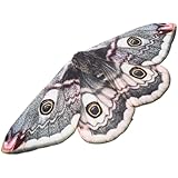 Feenflügel für frauen – kann als cosplay-requisite für cosplay-partys, tanzaufführungen, kostümpartys, festivals, flügel verwendet werden