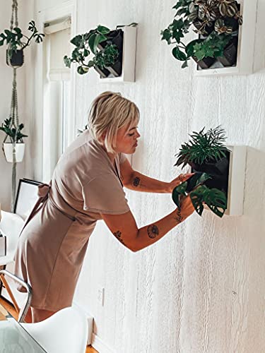 Steady Home Self-Watering Wall-Mounted Planter Indoor/Outdoor Decor With 4 Pots (Black) #TOP4