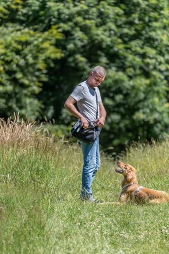 Trixie Gassi- und Leckerli-Tasche, 34 × 29 × 9 cm, anthrazit