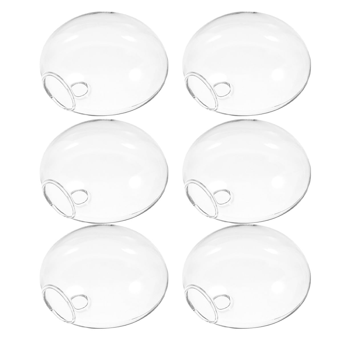Mur en verre pour plantes hydroponiques lot de 6 gain de place