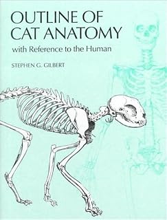 Outline of Cat Anatomy with Reference to the Human
