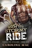 Cover zum Buch Stormy Ride