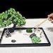 Imagen de LuXianYS Juego de jardín zen de 12 x 8 pulgadas