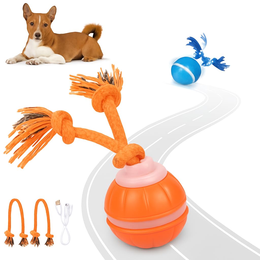 Interactive Dog Toy Motion-Activated Automatic Rolling USB Rechargeable Smart Dog Ball with Teaser Rope Squeaky Sound for Small