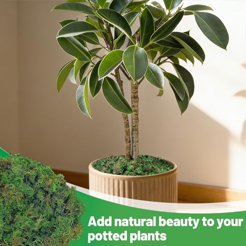 17oz Large Pack Natural Green Moss for Plants Indoor - Dried Forest Real Moss for Crafts, Artificial Fairy Gardens, Mosswall, Glass Terrariums, Floral Design, Home Decor by Alphatool - Used condition - Image 4
