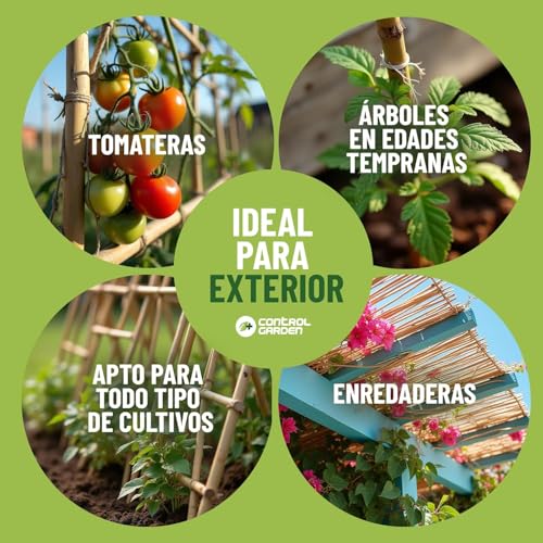 Tutores de bambu cañas estacas naturales de 180 cm para tomates y huertos 6