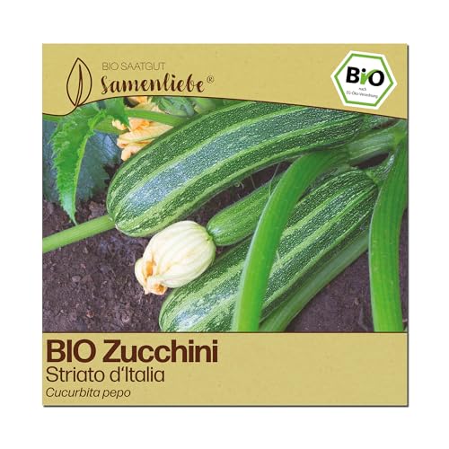 Samenliebe BIO Zucchini Samen | Striato d'Italia - italienische Zucchini & gestreift - samenfestes BIO Saatgut