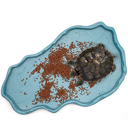 Reptile Food and Water Bowl Dish Reptile Food Dish Large Tortoise Water Bowl for Turtle Lizard Snake Gecko Ball Python… - Image 3