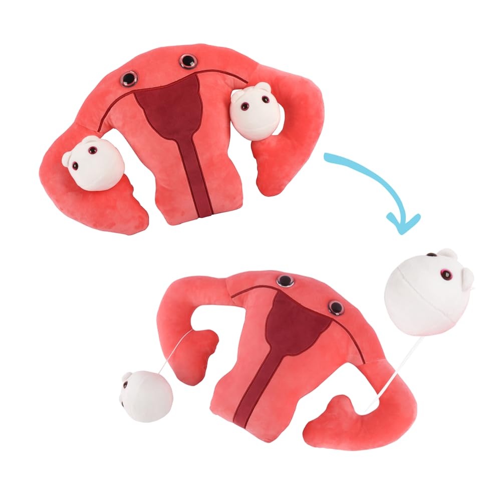 GIANT MICROBES Gigantic Uterus Plush Toy 24", Uterus Pillow, Hysterectomy Gifts, Endometriosis Awareness, Feminist Gifts, Fertility Gift, Get Well