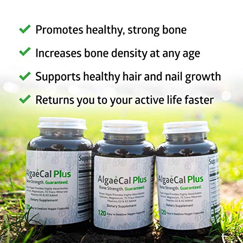 AlgaeCal Plus – Plant-Based Calcium Supplement with Magnesium, Boron, Vitamin K2 + D3 | Increase Bone Strength | All Natural Ingredients | Highly Absorbable | 120 Veggie Capsules per Bottle (6 Pack)