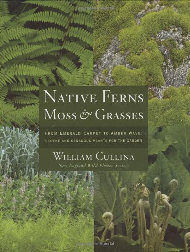 Native Ferns, Moss & Grasses