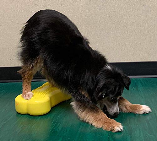 FitPAWS Dog Copenhagen Mini K9 Bone Instabilitätsscheibe für Propriozeption