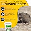 Kaput-D Pocket Gopher Bait - Ready-to-Use Wheat Grains for Effective Rodent Bait, Perfect for Residential & Agricultural Use - Diphacinone Formula for Lawn, Turf & Crop Areas (5 lbs)