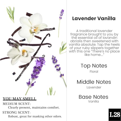 Image of HoogaLife Car Air Freshener Diffuser 2 Pack Hanging Air Freshener Diffuser -Lavender Vanilla Fragrance Oil Air D iffuser for Car, 45+ days Long Lasting Fragrance Made in USA C ar Air Fresheners (L28)
