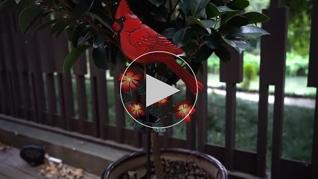 置物  Birds Red Cardinal Cardinal Decor Garden Stake,Solar Metal Red Cardinal