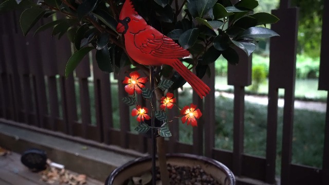 Amazon.com: Cardinal Decor Garden Stake,Solar Metal Red Cardinal