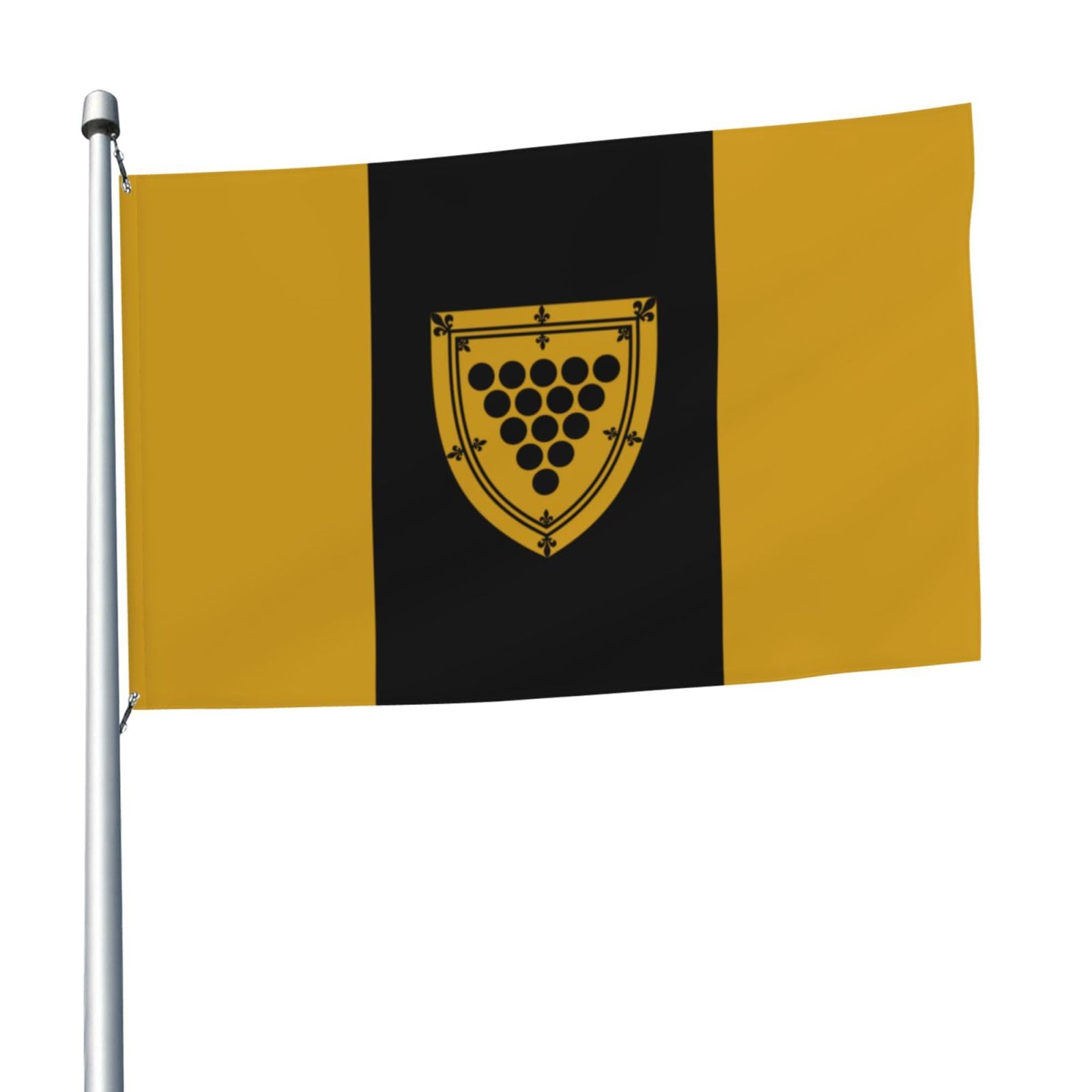 Drapeau du comté de Cornwall de qualité extérieure aux finitions soignées