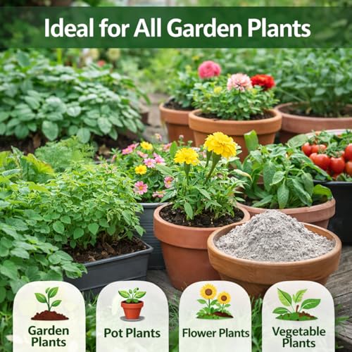 Image of Wood Ash Powder for Plants & Gardening | Natural Ash Powder for Potting Mix, Home Garden, Pots & Outdoor Plants | 3600g