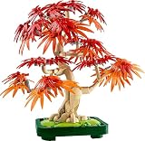LEGO Botanicals bonsaï érable rouge du Japon – photo 10