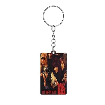 MR.BIG メタルキーホルダー　2個セット MR.BIG メタルキーホルダー 2個セット メタルキーホルダー_ZX200