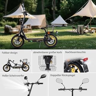 TWOFISH E Scooter mit EEC Zulassung, 500W Elektro Scooter mit 48V 13Ah Akku, 30 km Reichweite, 14" Reifen, doppelte Federung, 3 Geschwindigkeiten, Elektroroller Erwachsene mit LED-Display (Schwarz)