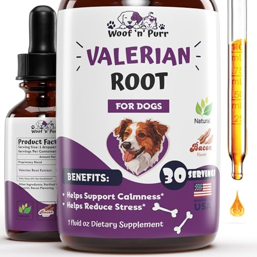 Top 10 Best Supplement To Calm Dogs : Reviews & Buying Guide - Katynel