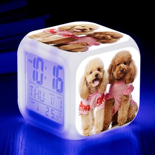 PPPJYYSGA/V킢JtȐFύXnIȖڊo܂vCLEDL[uLCDNbNCgtqڊo܂vaqxbh[p(Color-10)