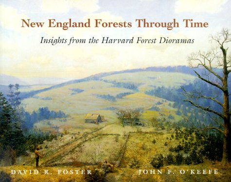 New England Forests Through Time: Insights from the Harvard Forest Dioramas