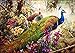 [, Wooden Framed or Not ] Diy Oil Painting by Numbers, Paint by Number Kits - Peacock 1620 inches Linen Canvas - PBN Kit for Adults Girls Kids White Christmas Decor Decorations Gifts