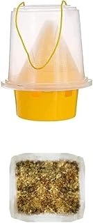 Flies Trap with Pheromones