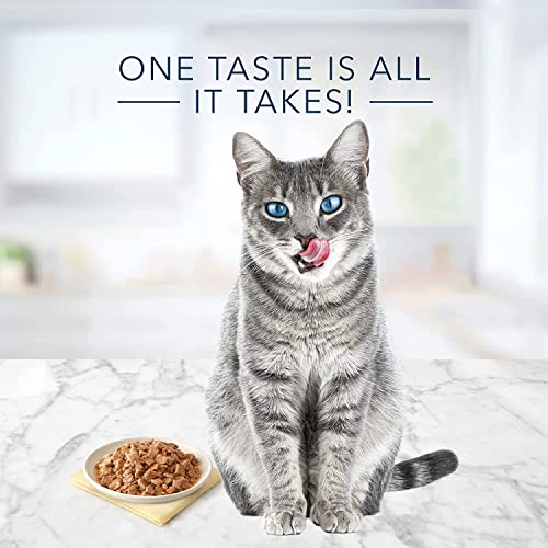 Blue Buffalo Tastefuls Natural Wet Cat Food, Tuna, Chicken and Fish/Shrimp in Gravy Flaked 3 oz Variety Pack 12 ct. image 7