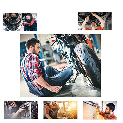 Gazeer 19Pcs S2 Micro Ratchet Wrench Screwdriver Bit Set With Phillips,Slotted,Hexagon And Torx 1/4" Drive Size,Reversible Drive Handle And Multi Bits Set #TOP5