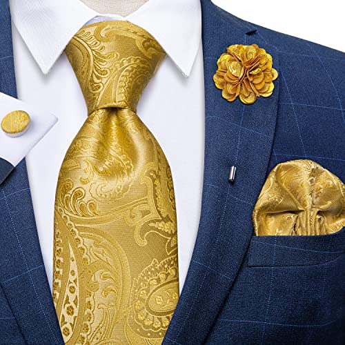 Image of DiBanGu Silk Ties for Men Necktie and Lapel Pin Brooch Set Formal Woven Paisley Plaid Striped Solid Tie Wedding Party